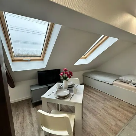 - Monteurzimmer In Halle Saale - Ideal Fuer Firmen Und Monteure Naehe Leipzig Halle Airport, Kabelsketal, Schkopau, Leuna, Merseburg Dom wakacyjny *
